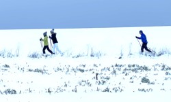 Langläufer im Schnee